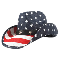 USA Flag Cowboy Hat